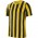 STRIPED  DIVISION  IV  MAILLOT