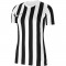 WOMEN'S STRIPED DIVISION IV MAILLOT