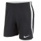 Short Dry Hertha II pour Homme
