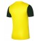 725890283-thumbnail_23501