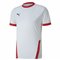 MAILLOT TEAMGOAL POUR HOMME