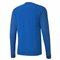 TEAM GOAL JERSEY LONG SLEEVE POUR HOMME