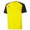TEAM PACER JERSEY POUR HOMME