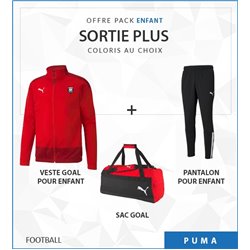 OFFRE PACK SORTIE GOAL ADULTE + SAC GOAL