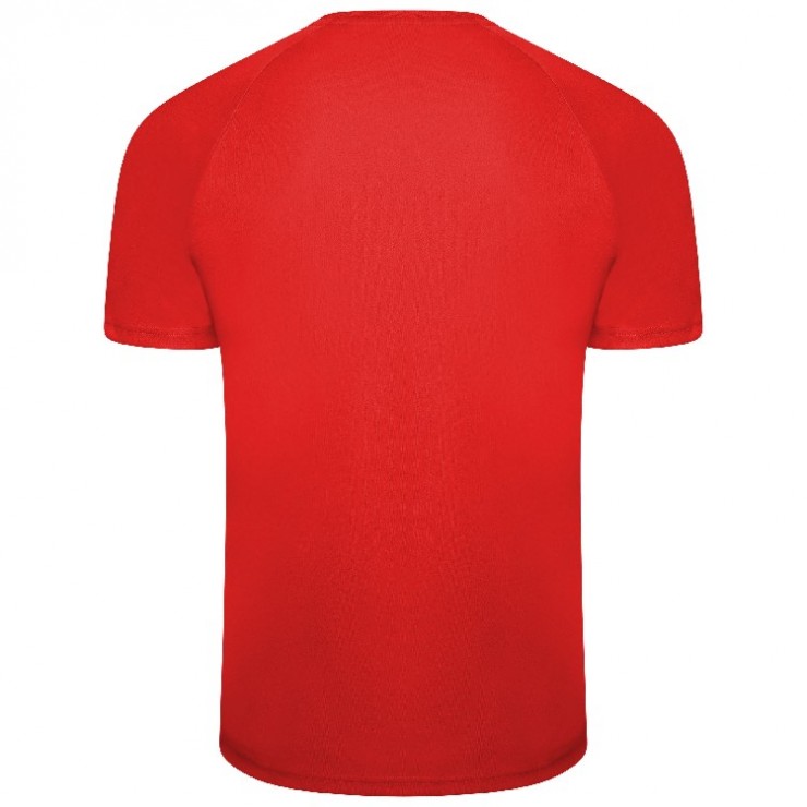 TEAM LIGA STRIPED JERSEY POUR HOMME