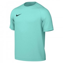 Nike Park VIII Jersey for men