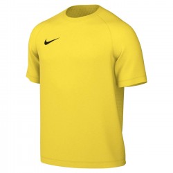 Nike Park VIII Jersey for men