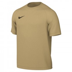 Nike Park VIII Jersey for kids