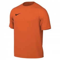 Nike Park VIII Jersey for kids