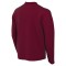 Nike Park VIII Jersey Long Sleeve for kids