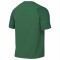 Maillot Nike Academy II pour homme