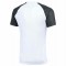 Maillot Nike Academy II pour homme