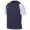 Maillot Nike Academy II pour enfants