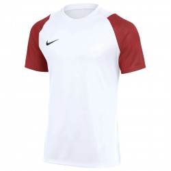 Maillot Nike Academy II pour enfants