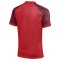 Nike Trophy VI Jersey for mens