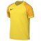 Nike Trophy VI Jersey for mens