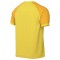 Nike Trophy VI Jersey for mens