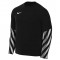 Nike Park V Jersey for mens