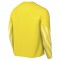 Nike Park V Jersey for mens
