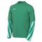 Nike Park V Jersey for kids
