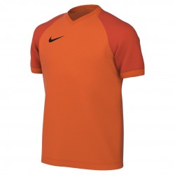 Nike Trophy VI Jersey for mens